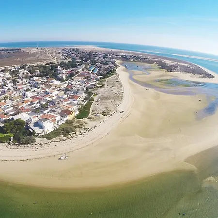Stork *